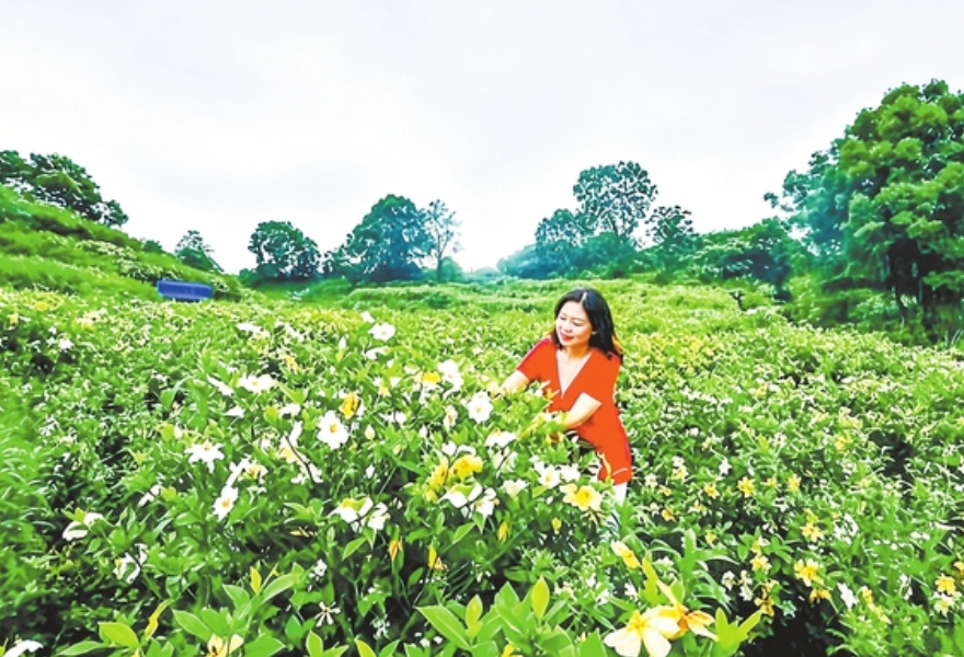九江:农文旅融合 宜居宜业又宜游(图)