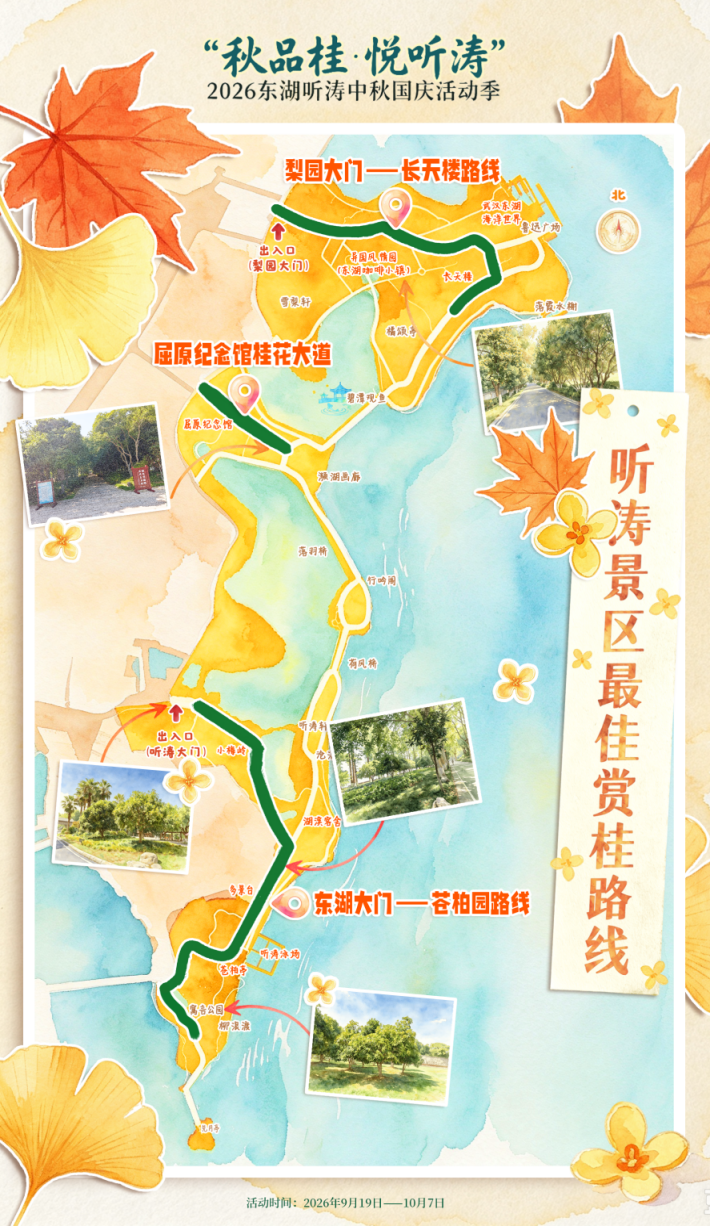 赏桂品咖逛市集,东湖听涛双节玩法上新