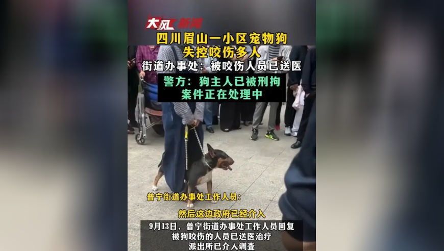 四川眉山一小区宠物狗失控咬伤多人 街道办事处：被咬伤人员已送医 警方：狗主人已被刑拘 案件正在处理中