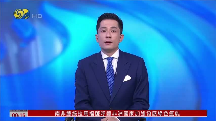 沙特学者吁海湾国家加快自主防卫建设