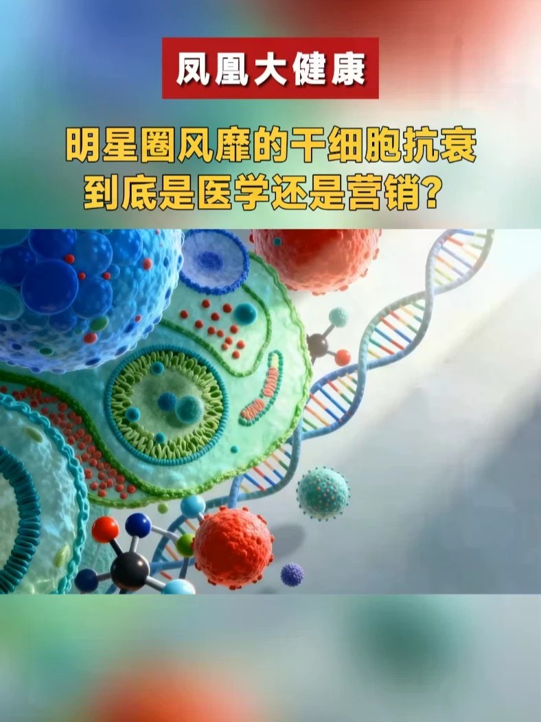 明星圈风靡的干细胞抗衰，到底是医学还是营销？