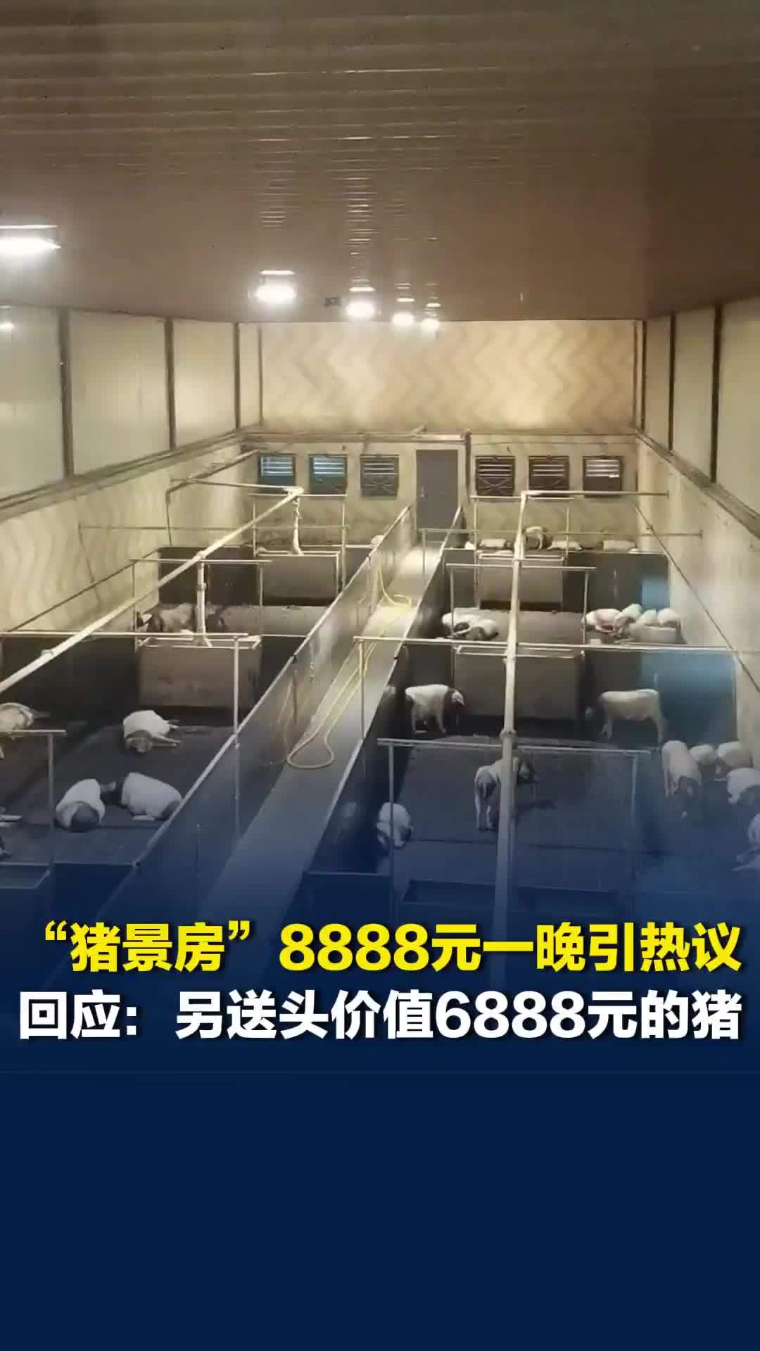 浙江一“猪景房”8888元一晚引热议，回应：另送一头价值6888元的“两头乌”猪