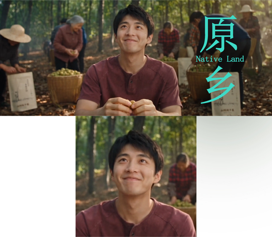 走了那么远 我们为什么还要回到原乡?