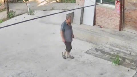 【#无人老屋院子却始终整洁#】近日，一段“无人老屋却始终整洁”的视频