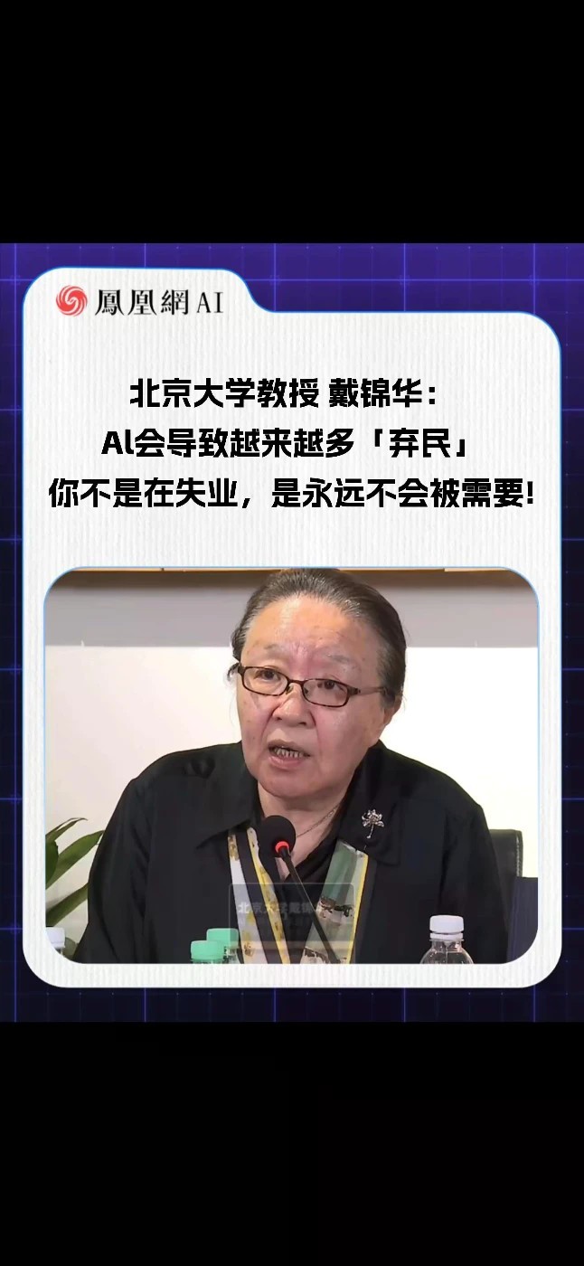 北京大学教授 戴锦华:Al会导致越来越多「弃民」你不是在失业，是永远不会被需要#AI #人工智能 #科技 #热点 #时代