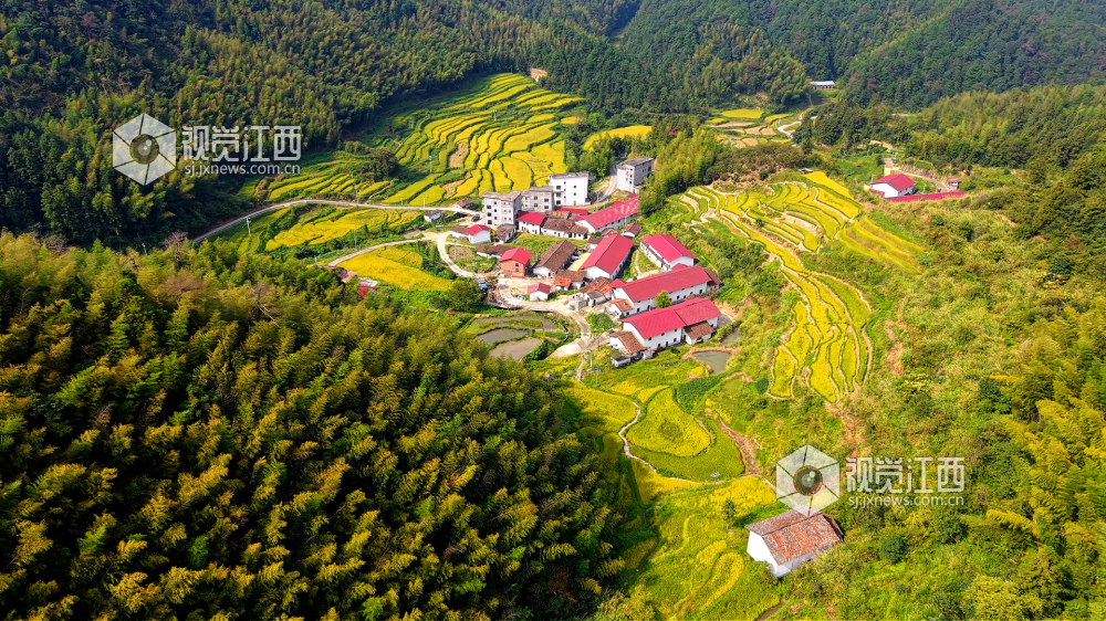 乐安县：山村秋色（图）