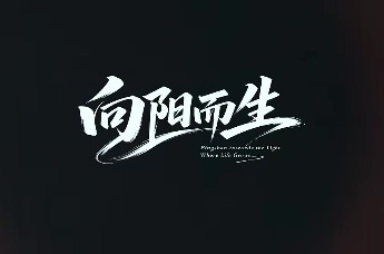 《向阳而生》