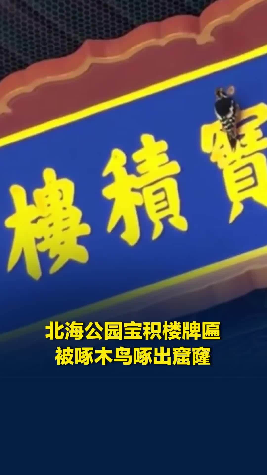 北海公园宝积楼牌匾被啄木鸟啄出窟窿，公园管理处：因其属文物，正报批维保方案