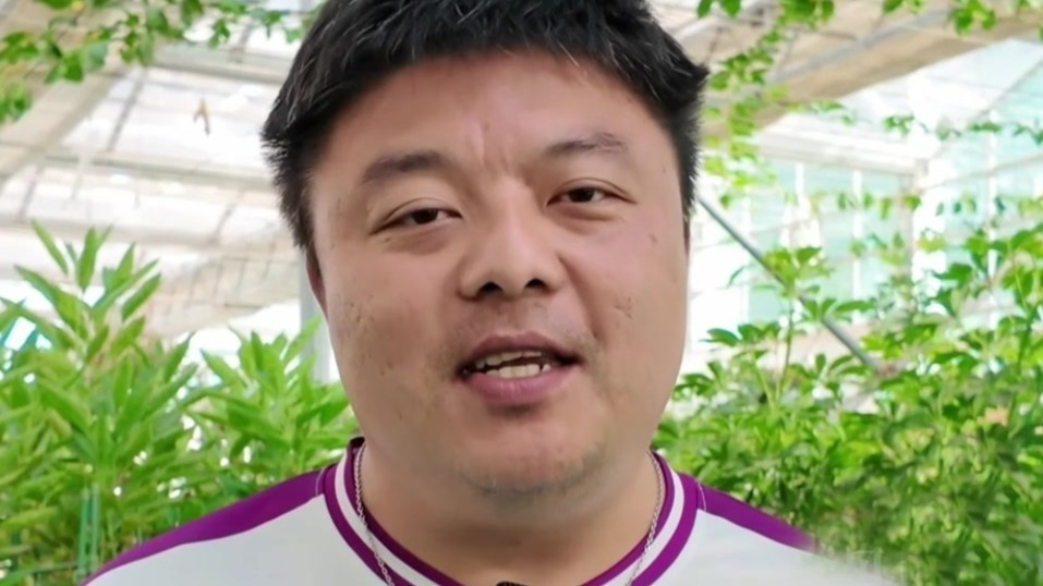 台湾青年张书豪：用棒球联结两岸居民