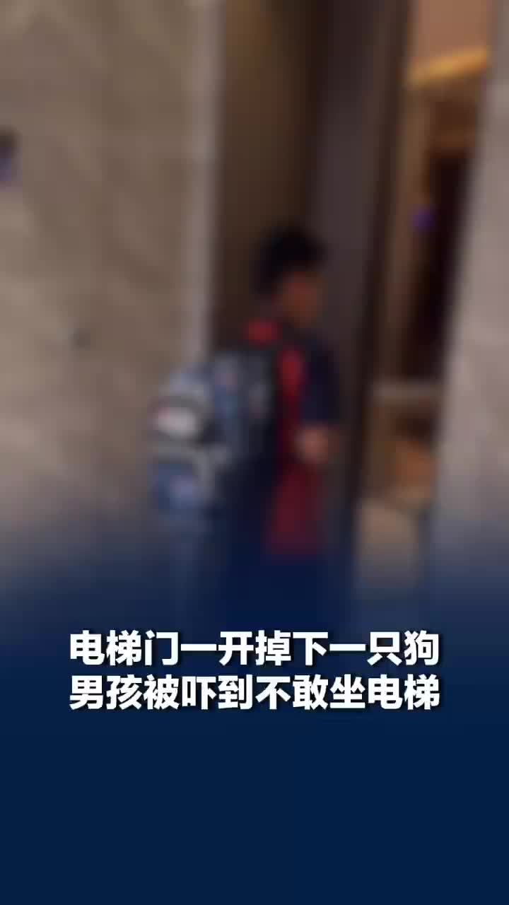 电梯门一开掉下一只狗吓到男孩，电梯顶部掉下只狗吓到男孩家长发声：狗狗没事，请大家不要揣测狗主人了