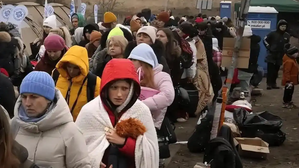 魏德尔:在德国的乌克兰公民应该返回自己的家园