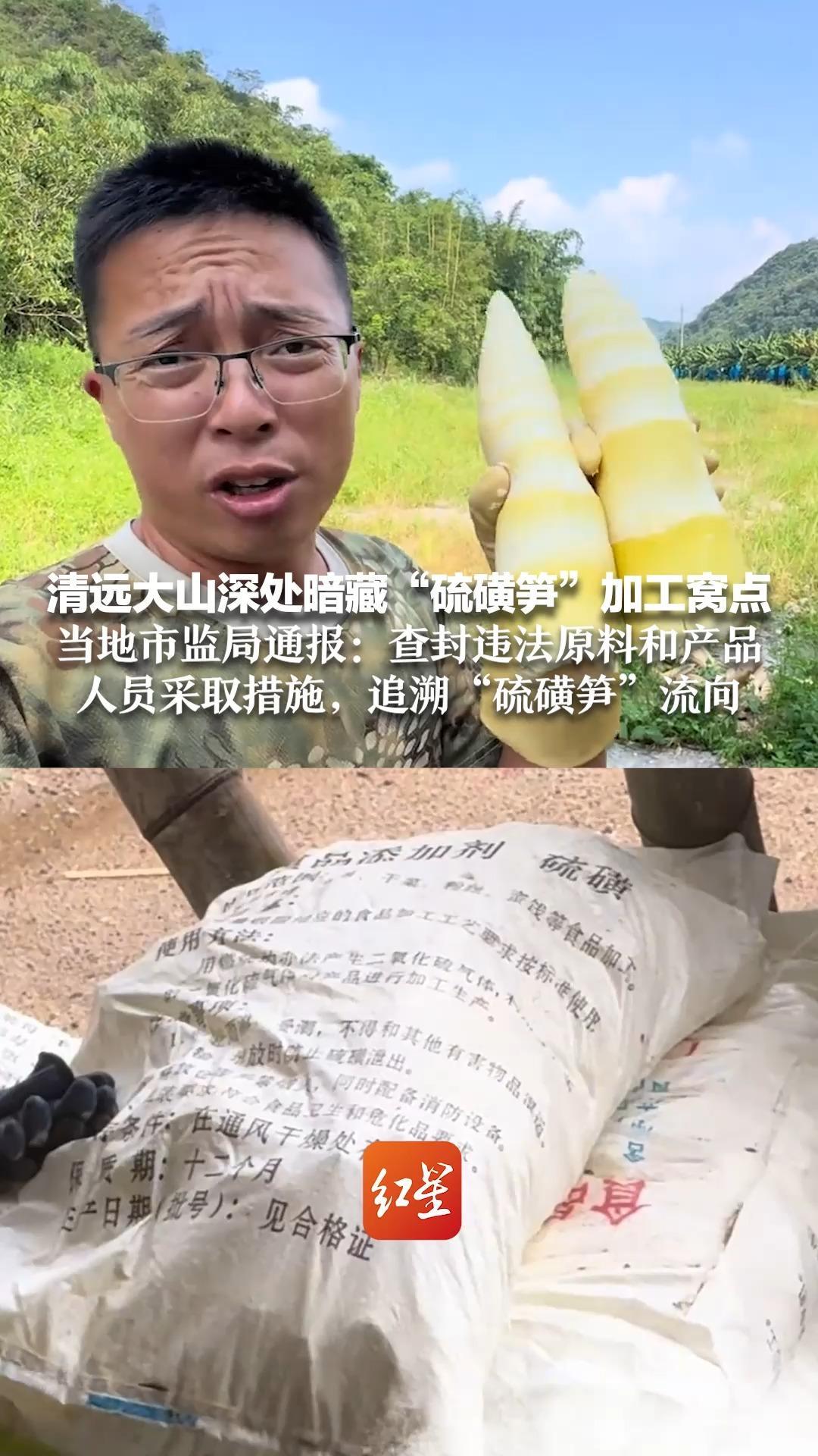 清远大山深处暗藏“硫磺笋”加工窝点 烟雾缭绕臭味刺鼻，旁边的树被熏死 当地市监局通报：查封违法原料和产品 人员采取措施，追溯“硫磺笋”流向