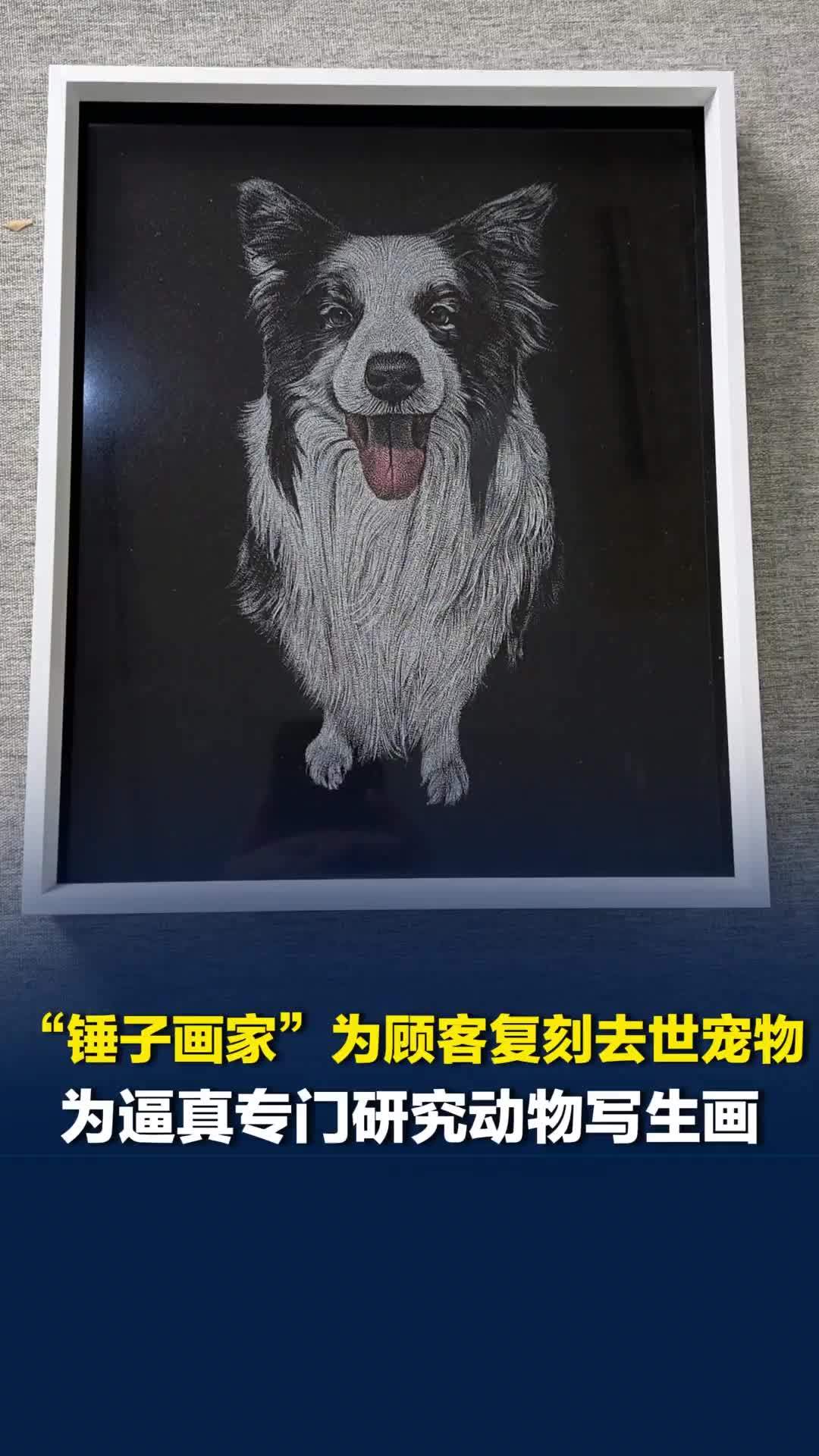 美好社区，就在长沙丨“锤子画家”为顾客复刻去世宠物，为逼真专门研究动物写生画