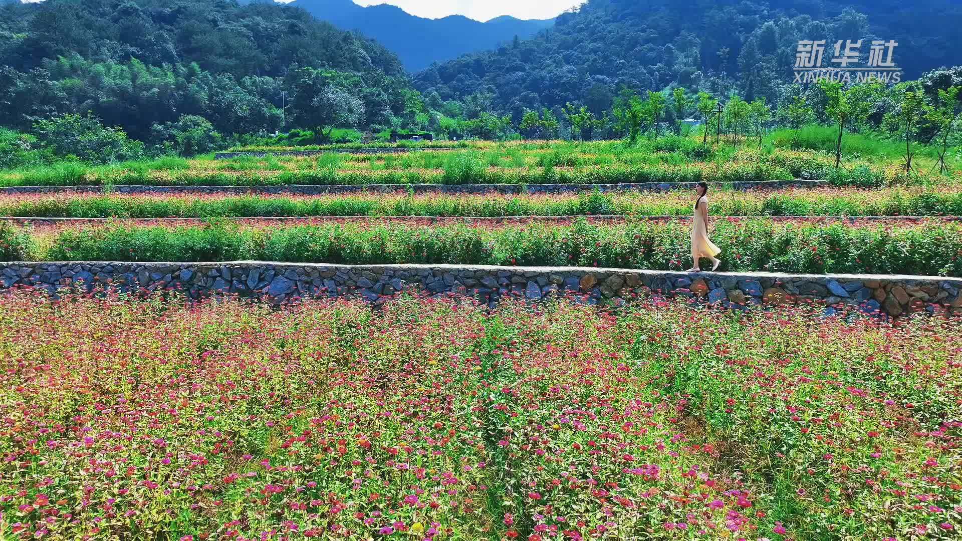 瞰中国丨福建新罗：在东堀村遇见山野浪漫