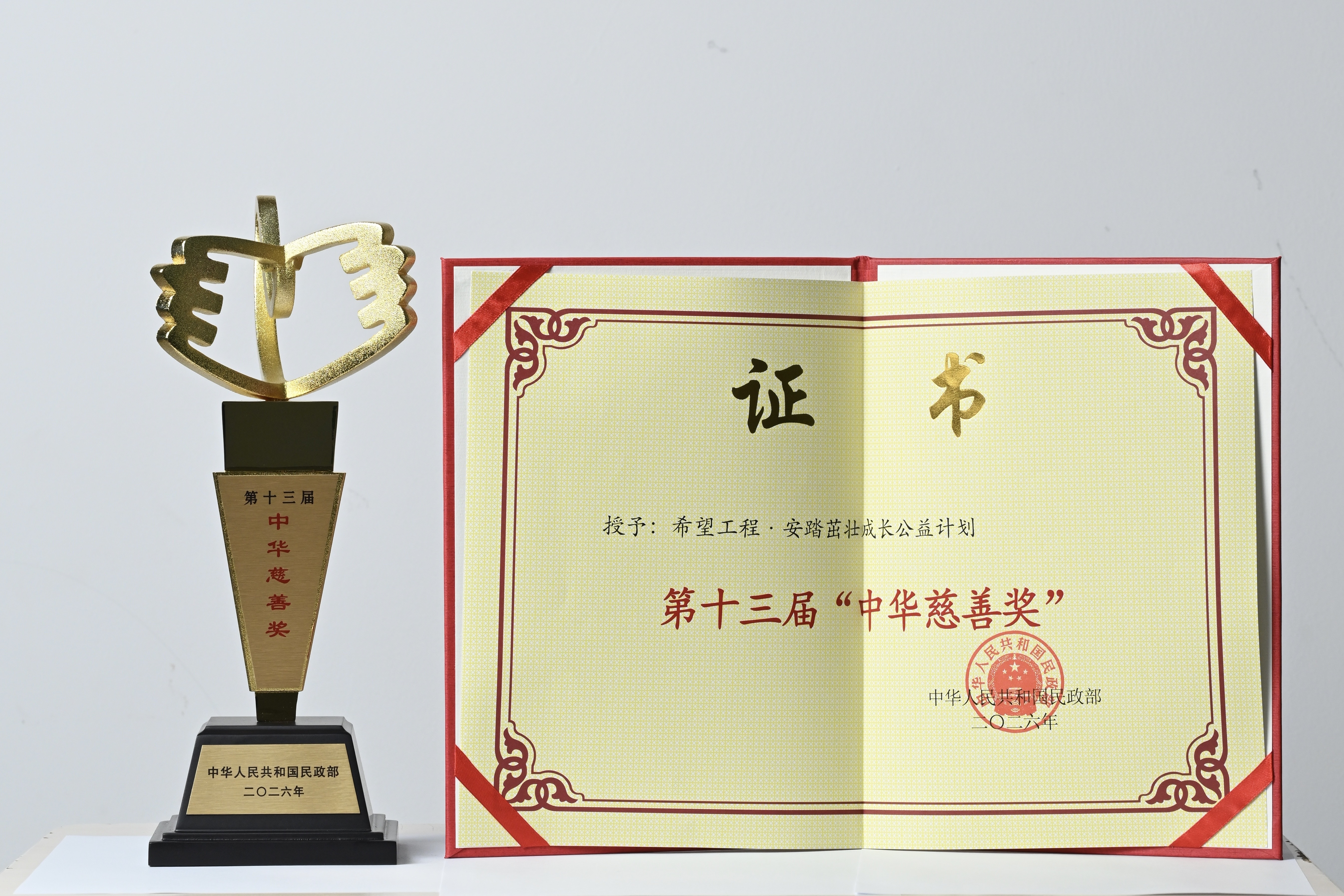 “希望工程·安踏茁壮成长公益计划”获得第十三届中华慈善奖。