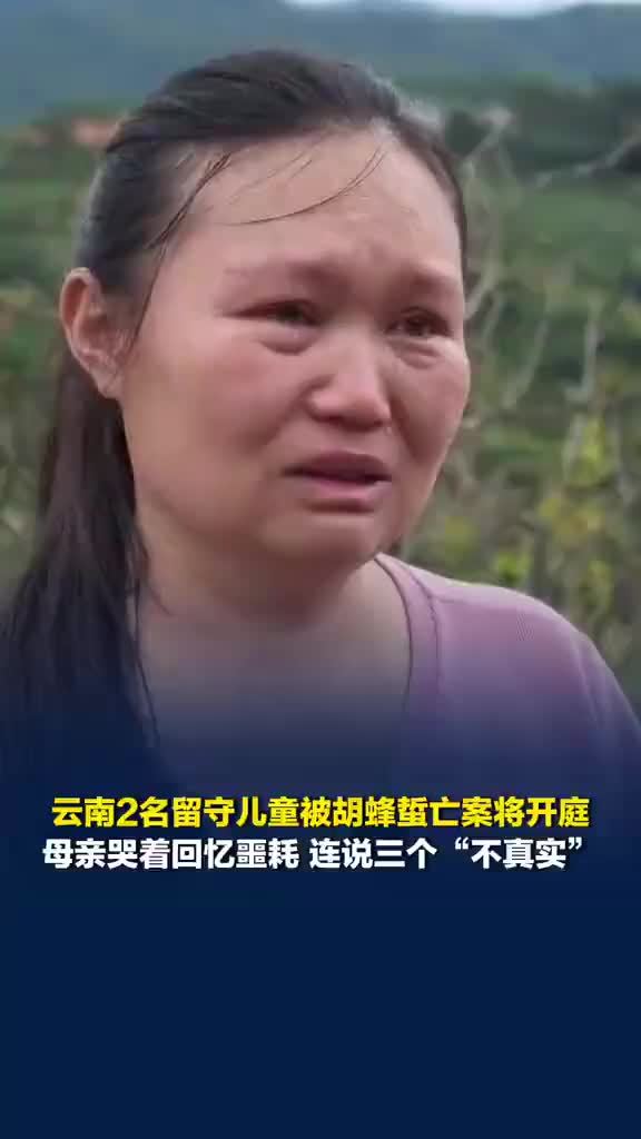 母亲赶到家时两兄妹已被胡蜂蜇亡