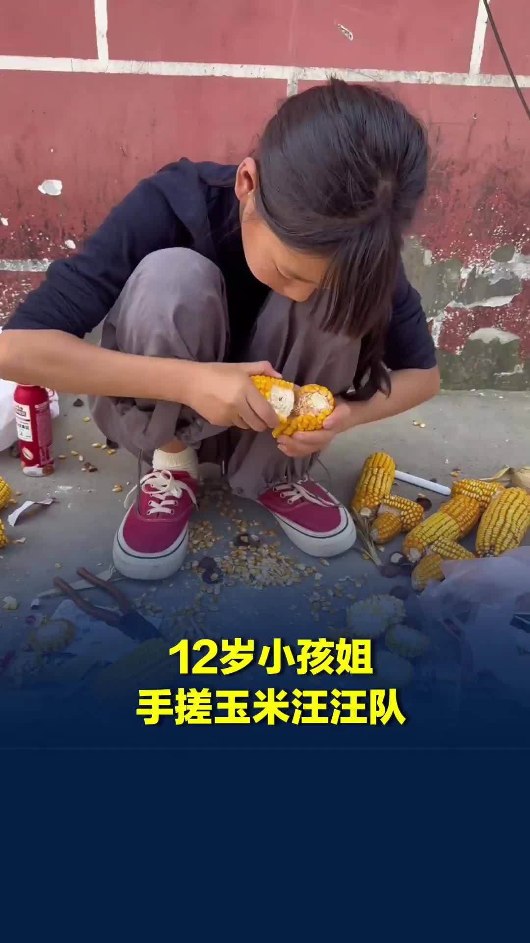 12岁小孩姐手搓玉米汪汪队，网友感叹：孩子的想象力和创造力太强了