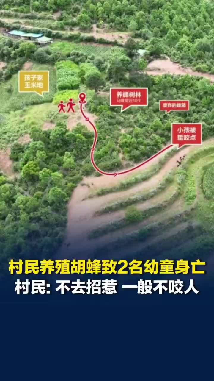 2名留守儿童被胡蜂蜇亡村民发声