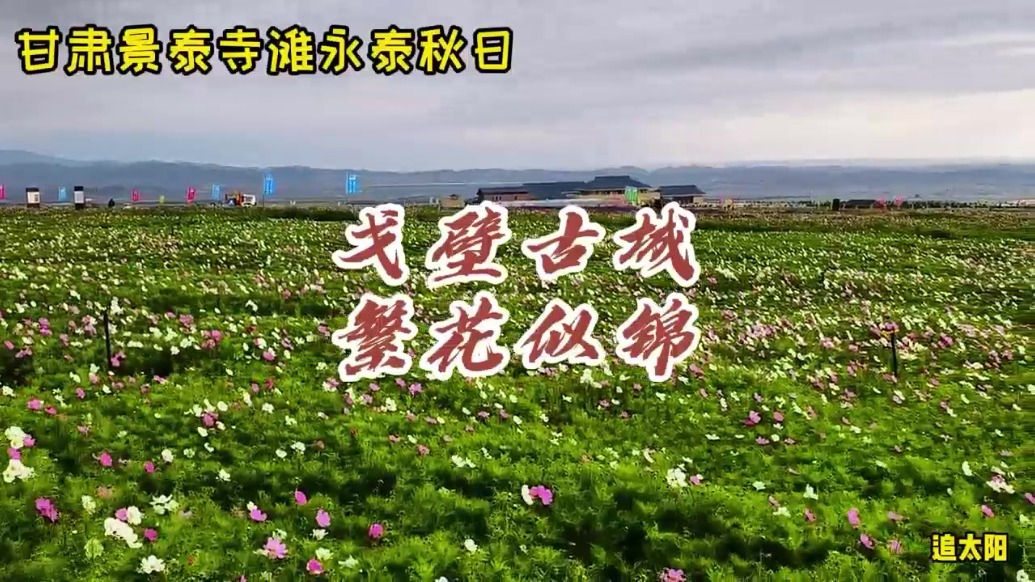 【镜观陇原】景泰：老爷山下添锦绣　戈壁花开映古城