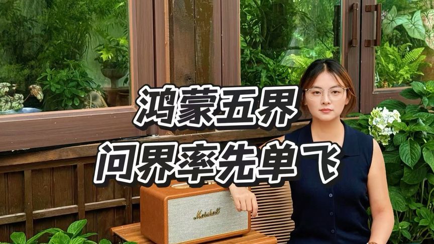 华为赛力斯合作模式调整，问界率先单飞