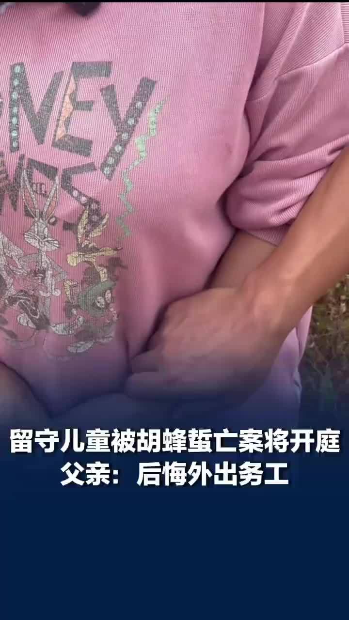 被胡蜂蜇亡儿童父亲称后悔外出务工