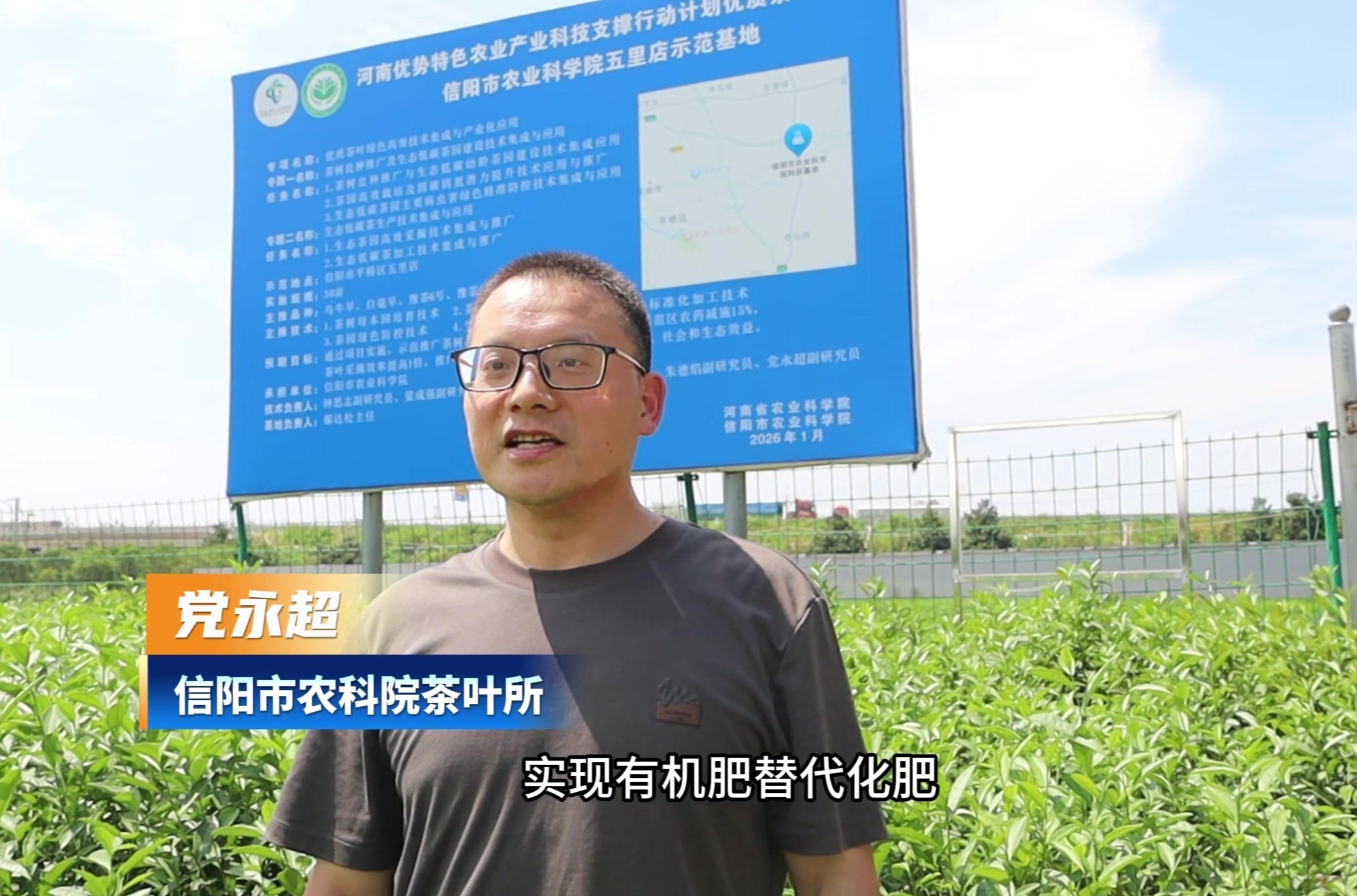 茶园怎么做到优质又高产？信阳市农科院专家视频科普干货来了