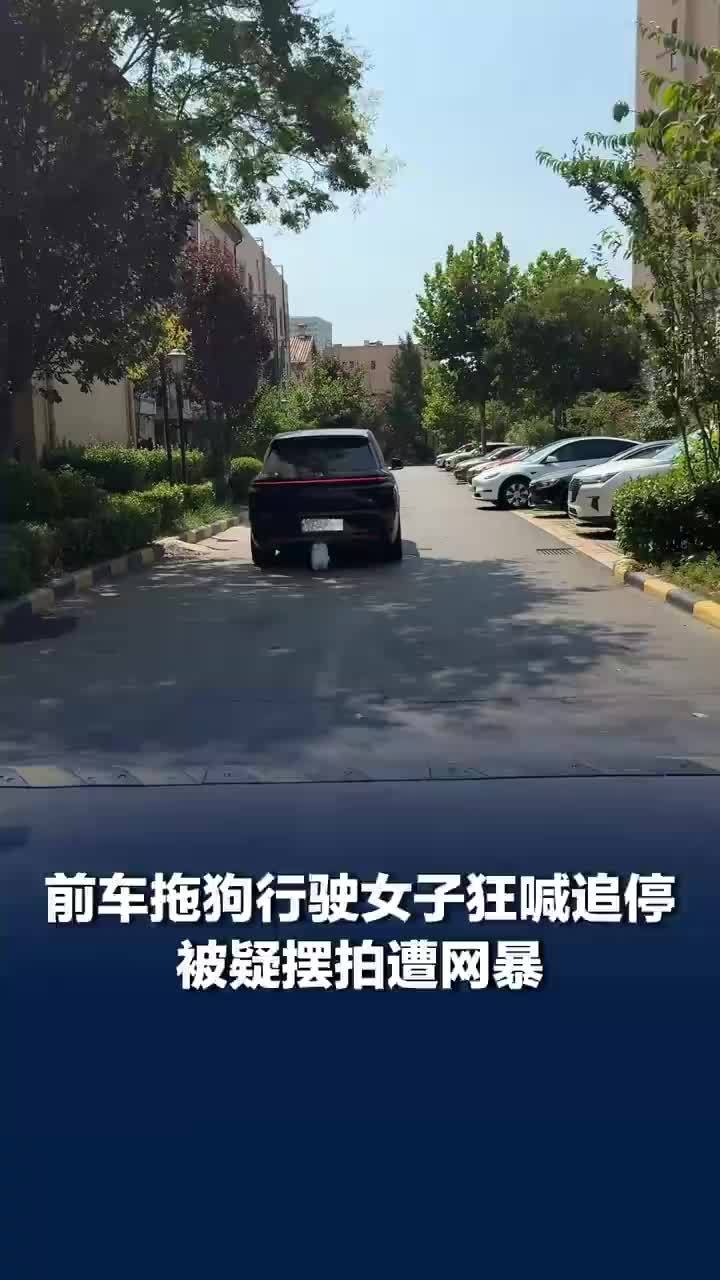 车拖狗行驶女子追停疑似摆拍遭网暴