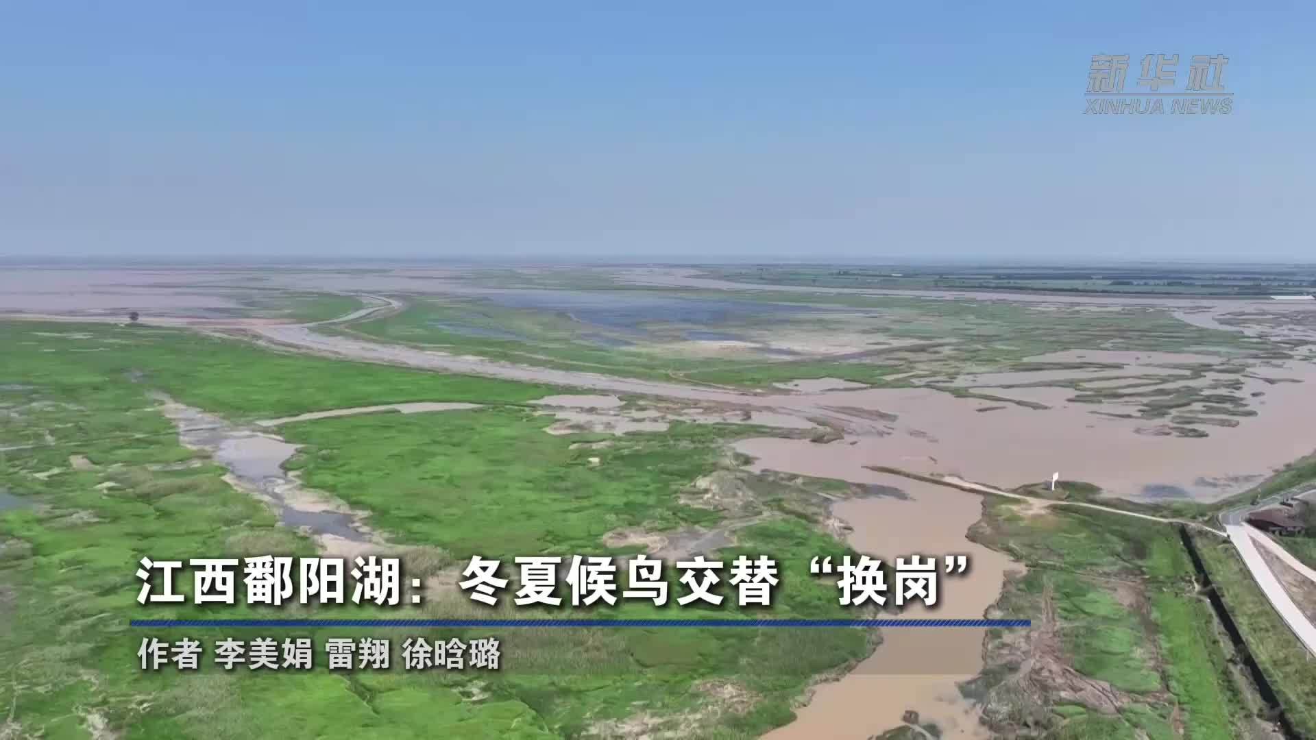 江西鄱阳湖：冬夏候鸟交替“换岗”