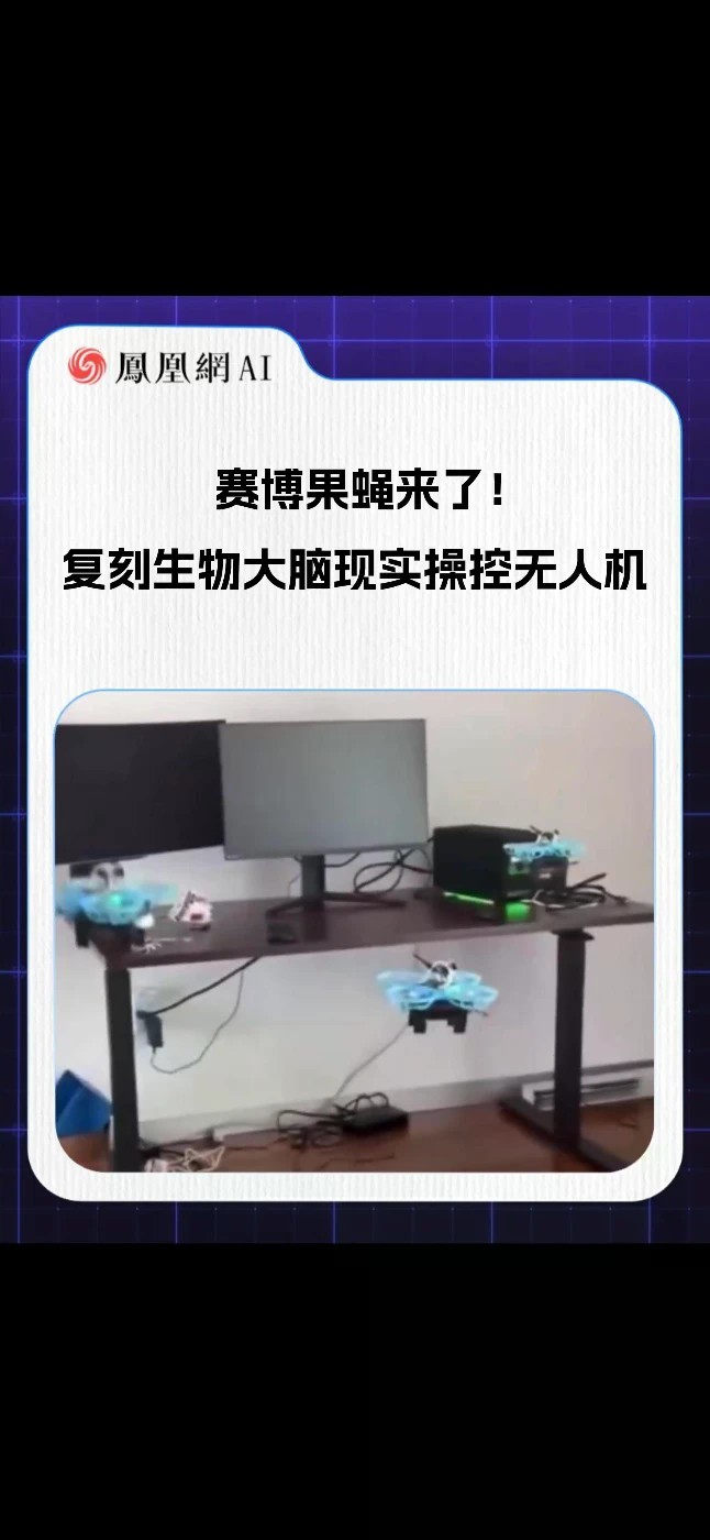 赛博果蝇来了！复刻生物大脑，现实操控无人机#AI #人工智能 #热门 #科技 #赛博果蝇