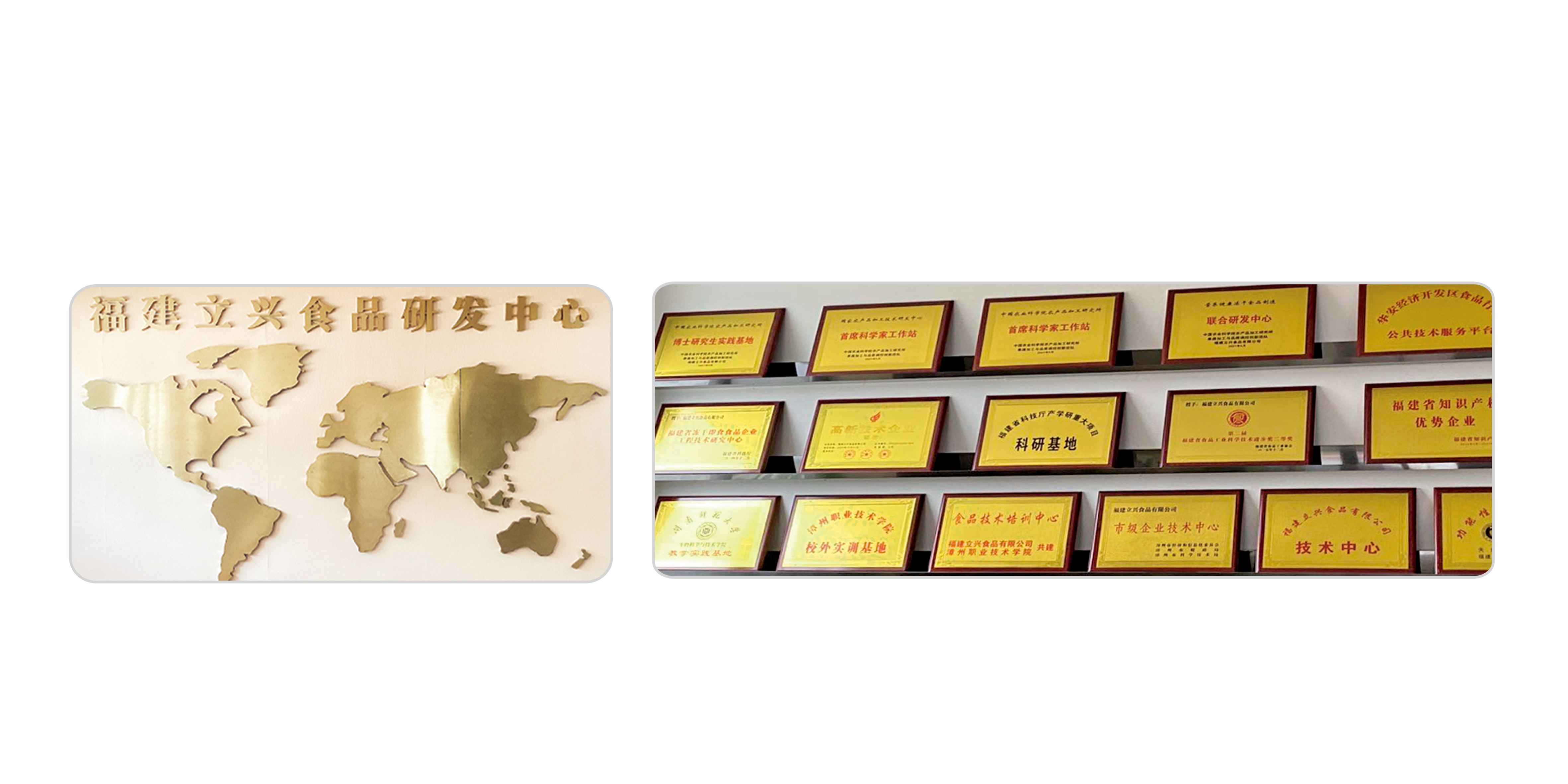 1789393369504837.png