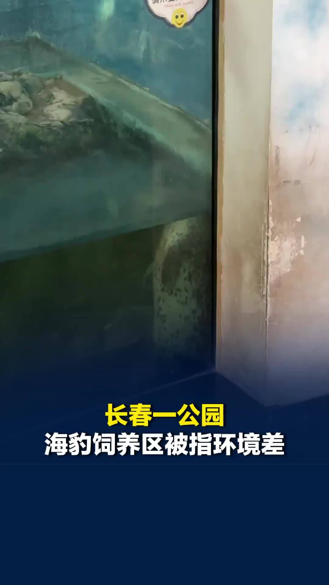 长春一公园海豹饲养区被指环境差，园方：改造方案已上报等待审批