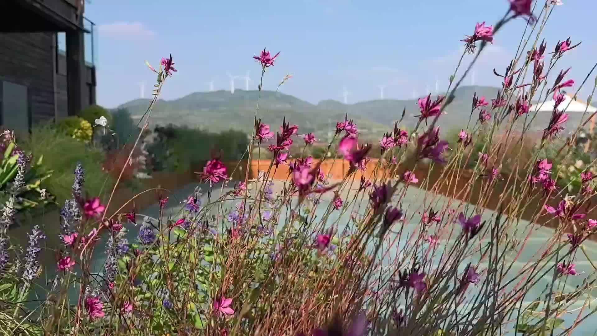明明凉快了咋又热如夏？气象专家解释济南近期回暖现象