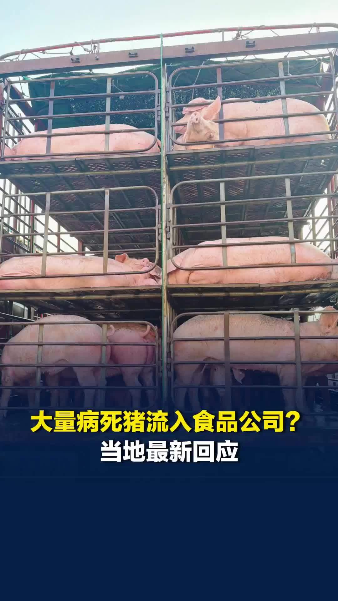网友称大量病死猪流入了江西大余一食品公司？当地最新回应