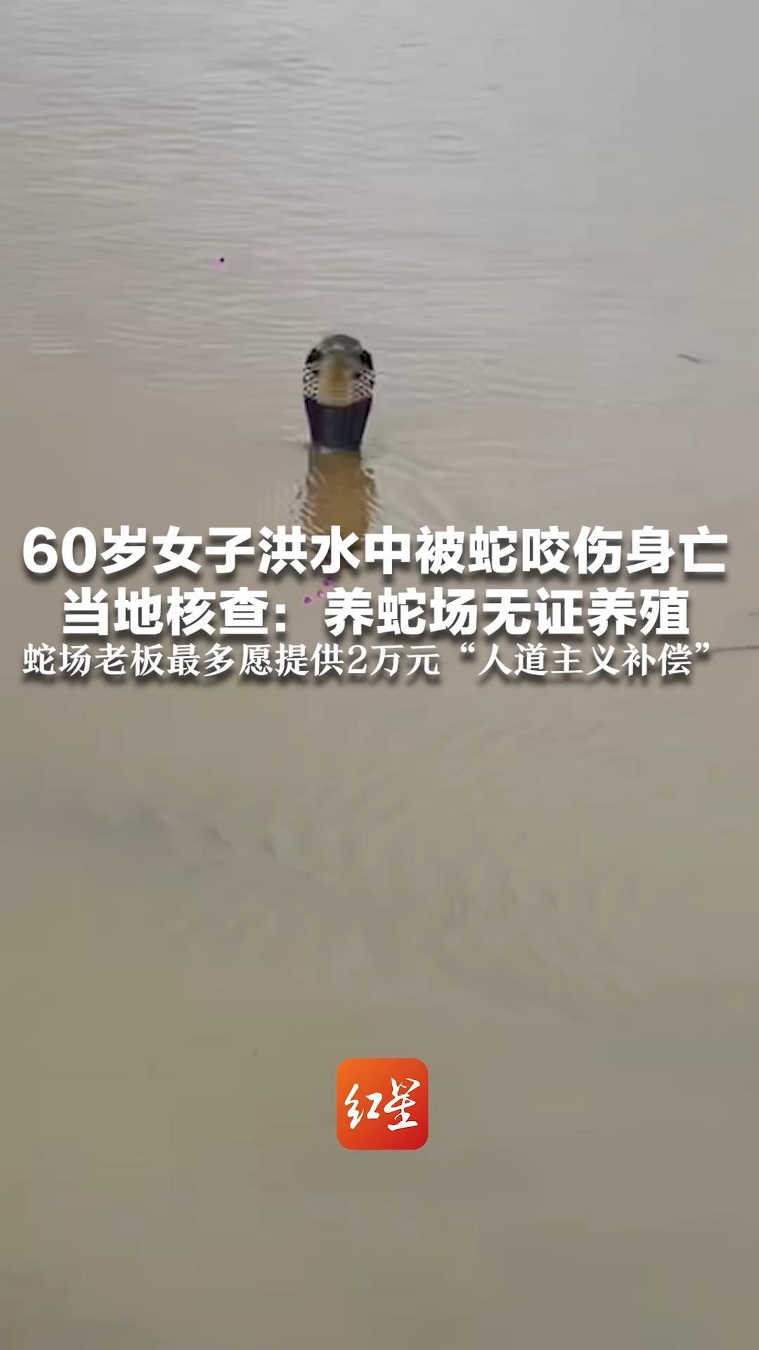 60岁女子洪水中被蛇咬伤身亡 当地核查：养蛇场无证养殖 蛇场老板最多愿提供2万元“人道主义补偿” 协调无果后死者家属起诉