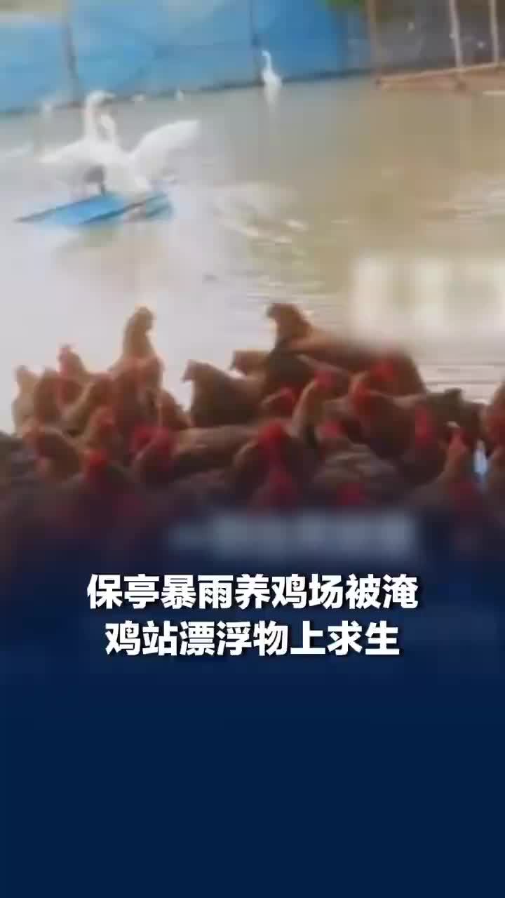 海南保亭暴雨鸡站漂浮物上求生