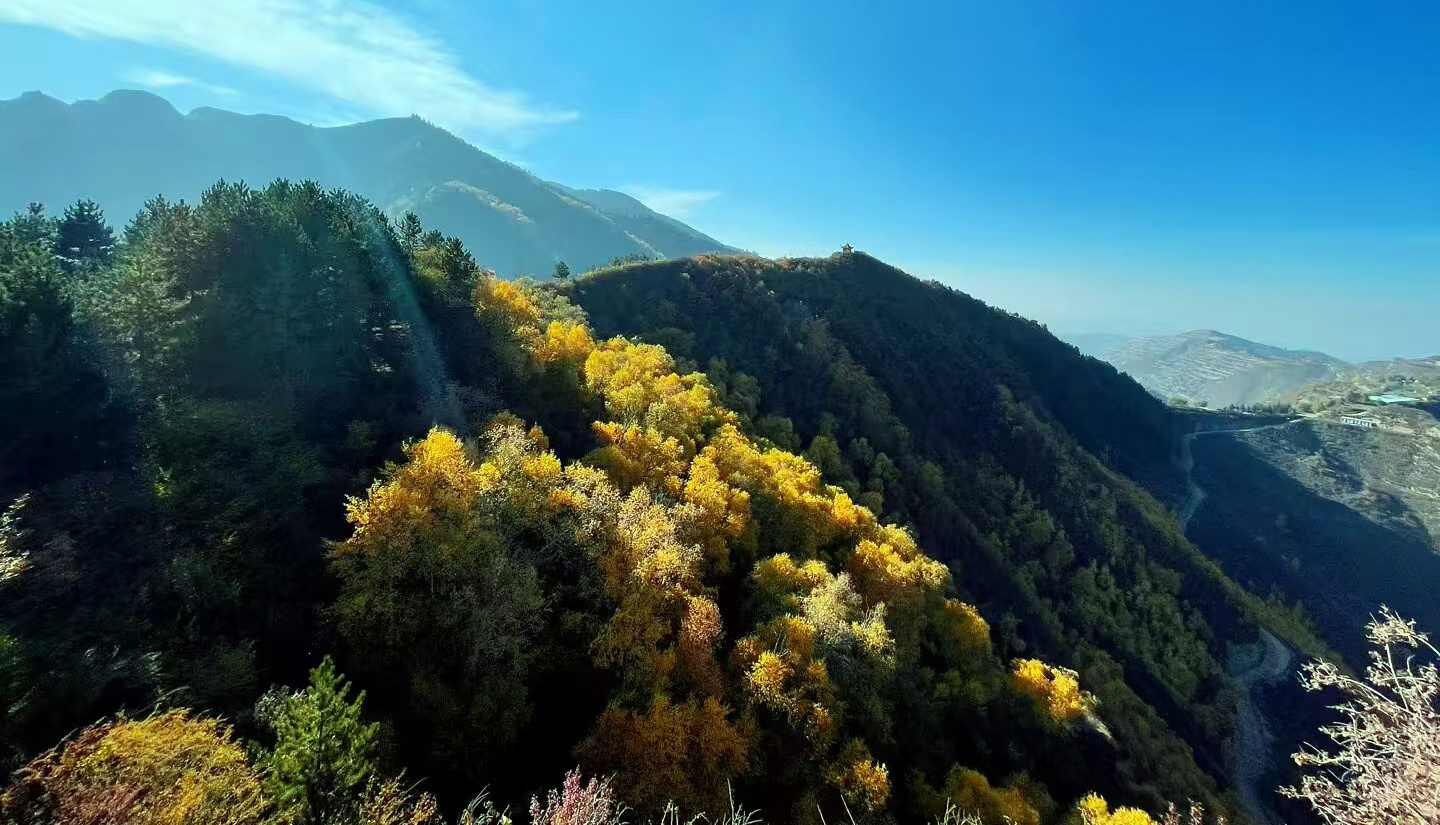 层林尽染的关山省级森林公园