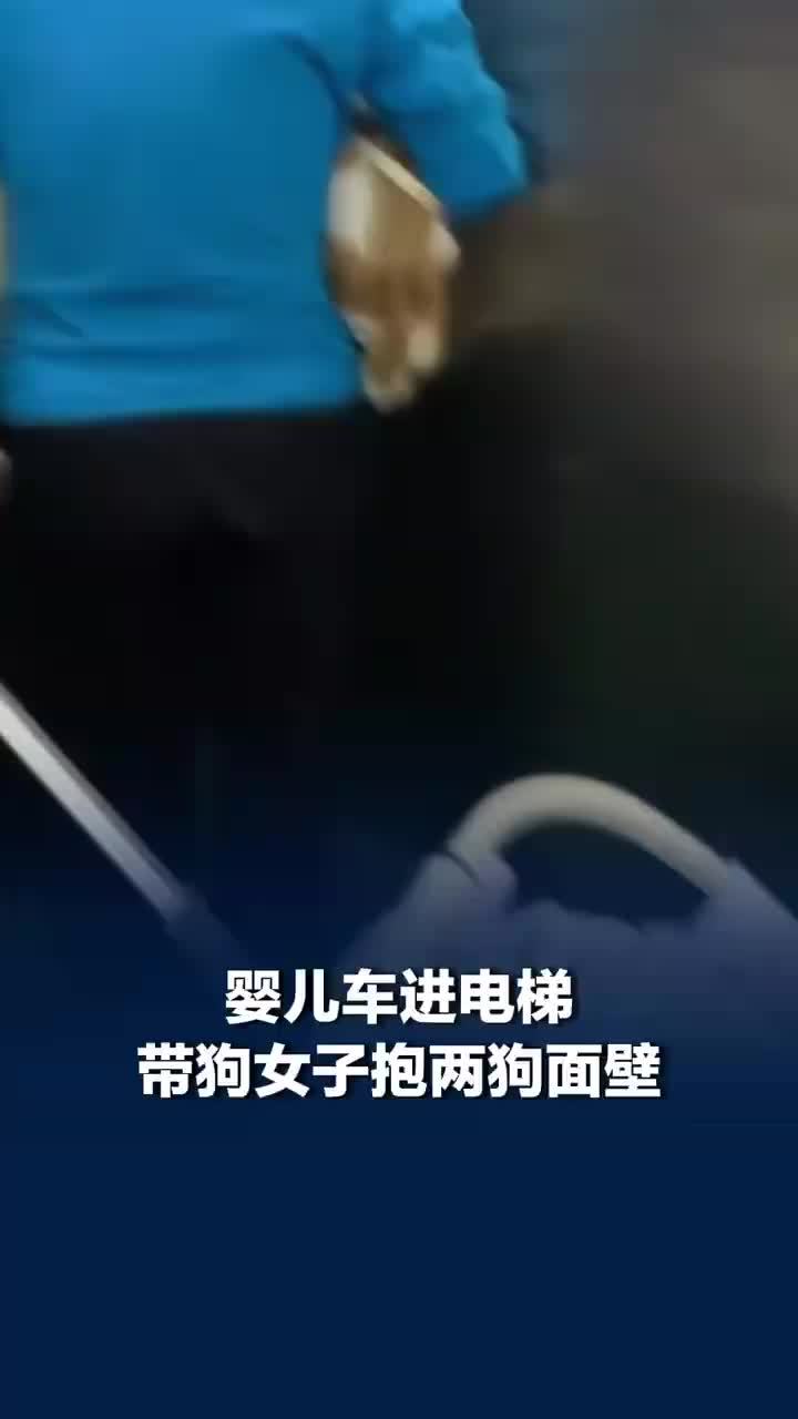 婴儿车进电梯狗主人抱两狗面壁