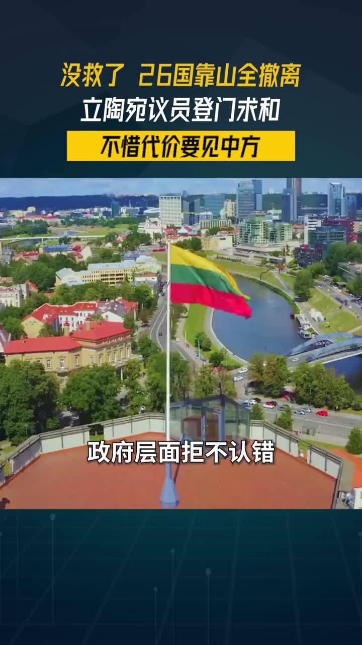 没救了，26国靠山全撤离，立陶宛议员登门求和，不惜代价要见中方#全球创作者计划 #零基础看懂全球