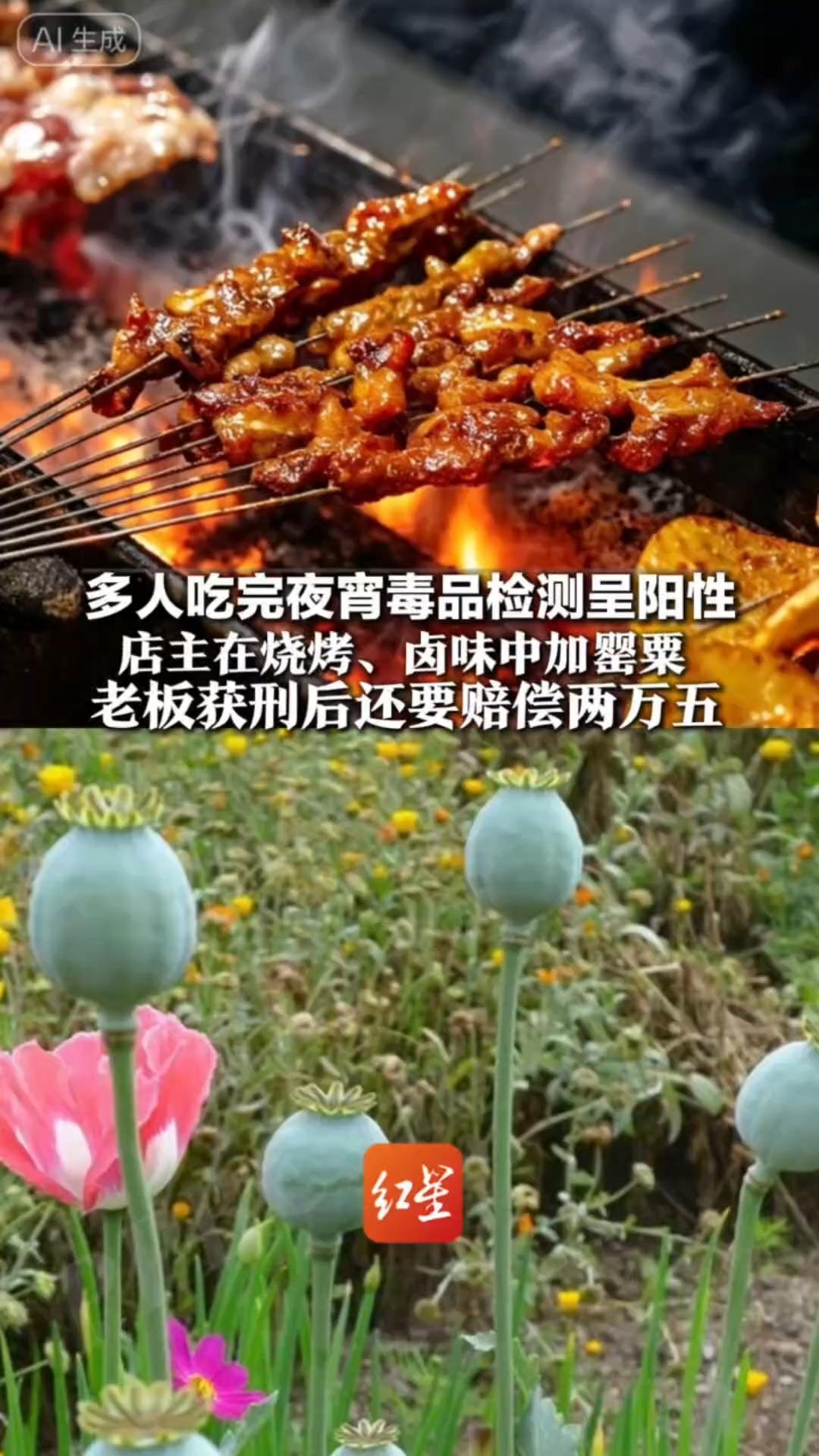 多人吃完夜宵毒品检测呈阳性 店主在烧烤、卤味中加罂粟 1个多月卖了2500元 老板获刑后还要赔偿两万五