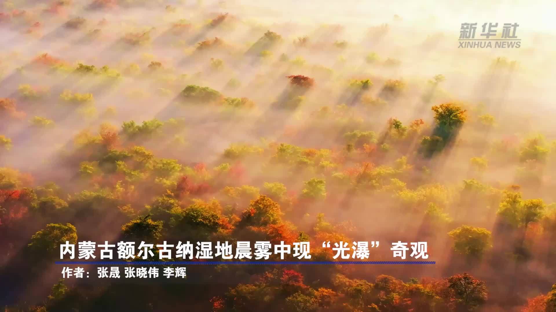 内蒙古额尔古纳湿地晨雾中现“光瀑”奇观