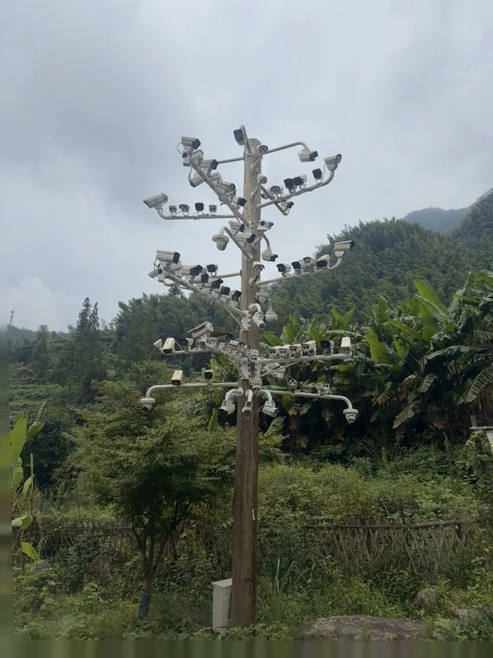 槽下村的一处监控设备(网友供图)