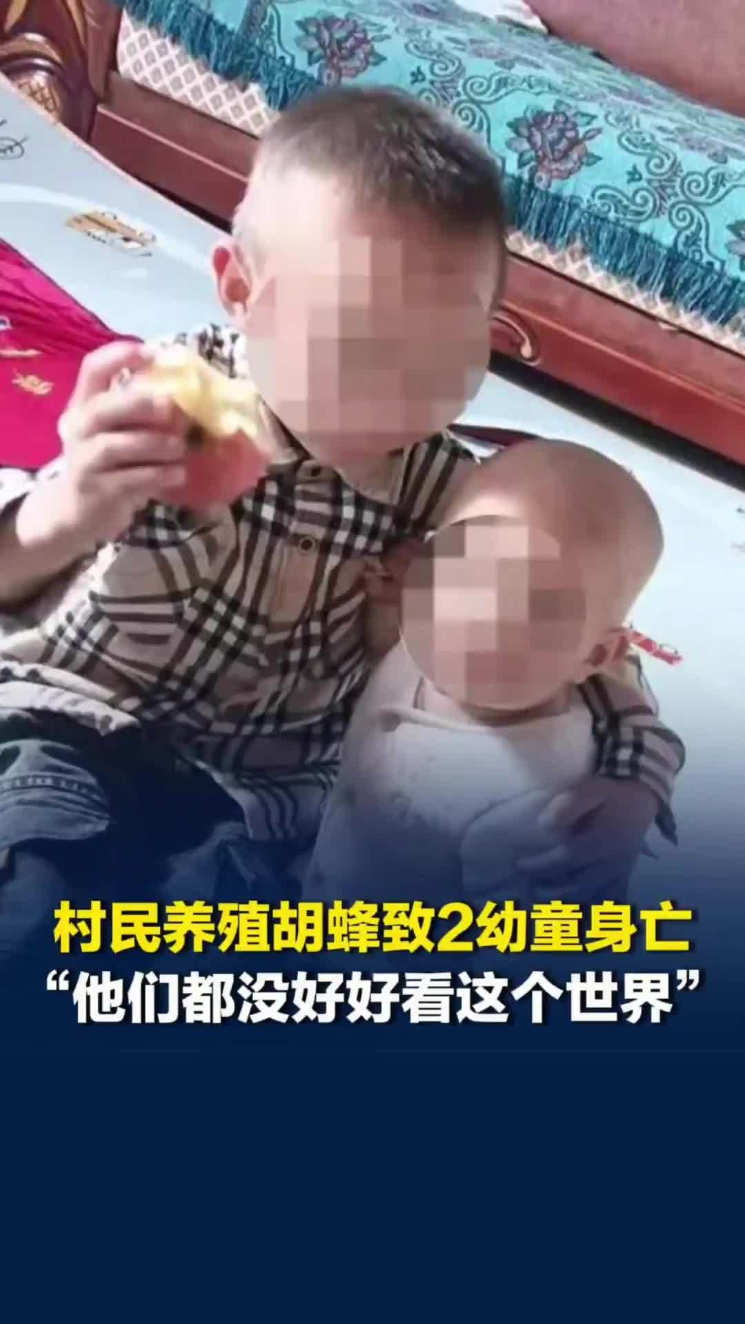 云南一村民养殖胡蜂致2名幼童身亡，母亲：“他们都没有好好看这个世界。”