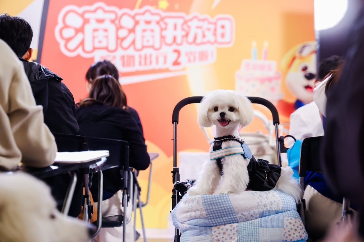 如何同1000万只萌宠出行？滴滴宠物出行开放日现场大揭秘！