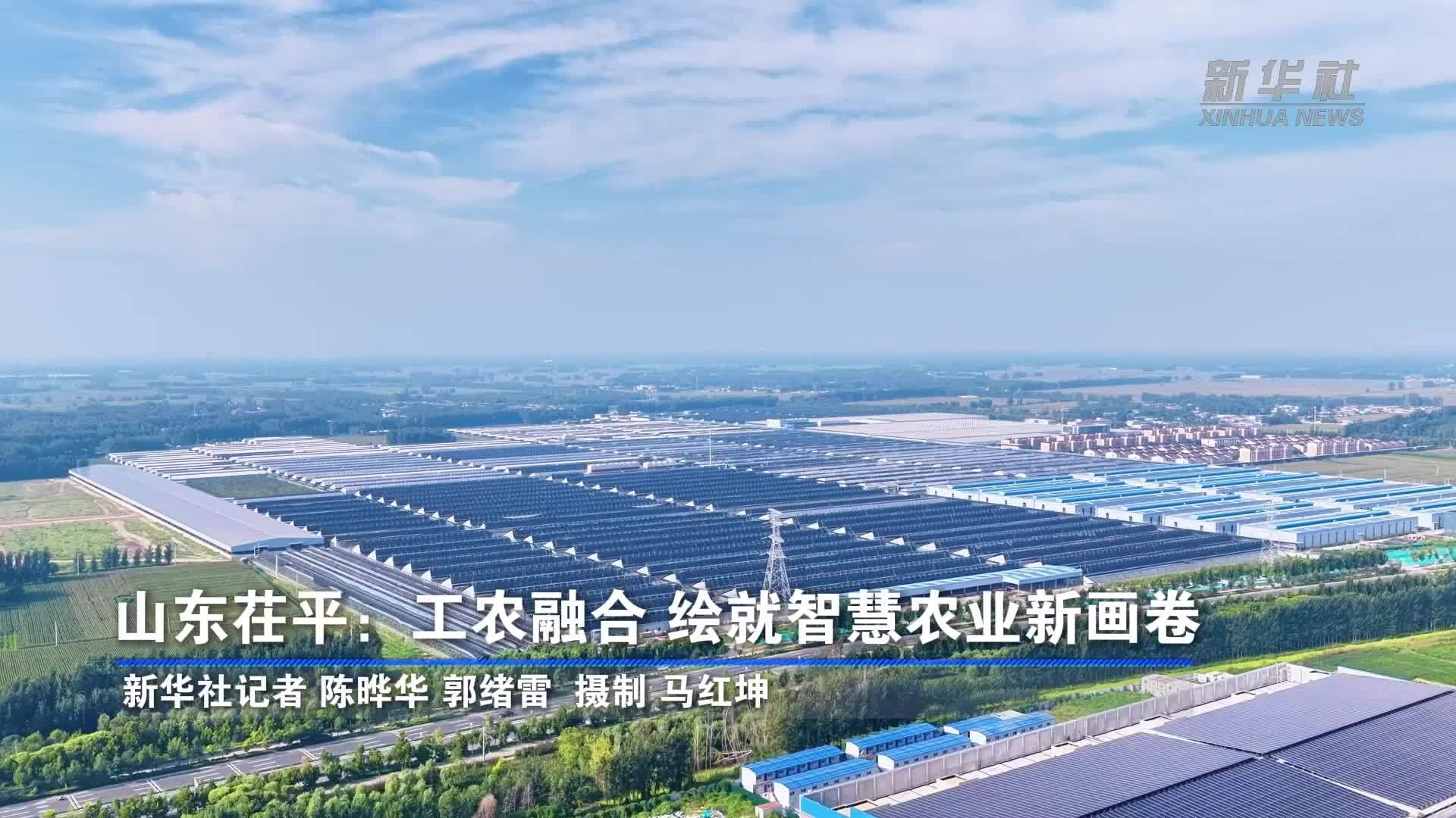 山东茌平：工农融合 绘就智慧农业新画卷