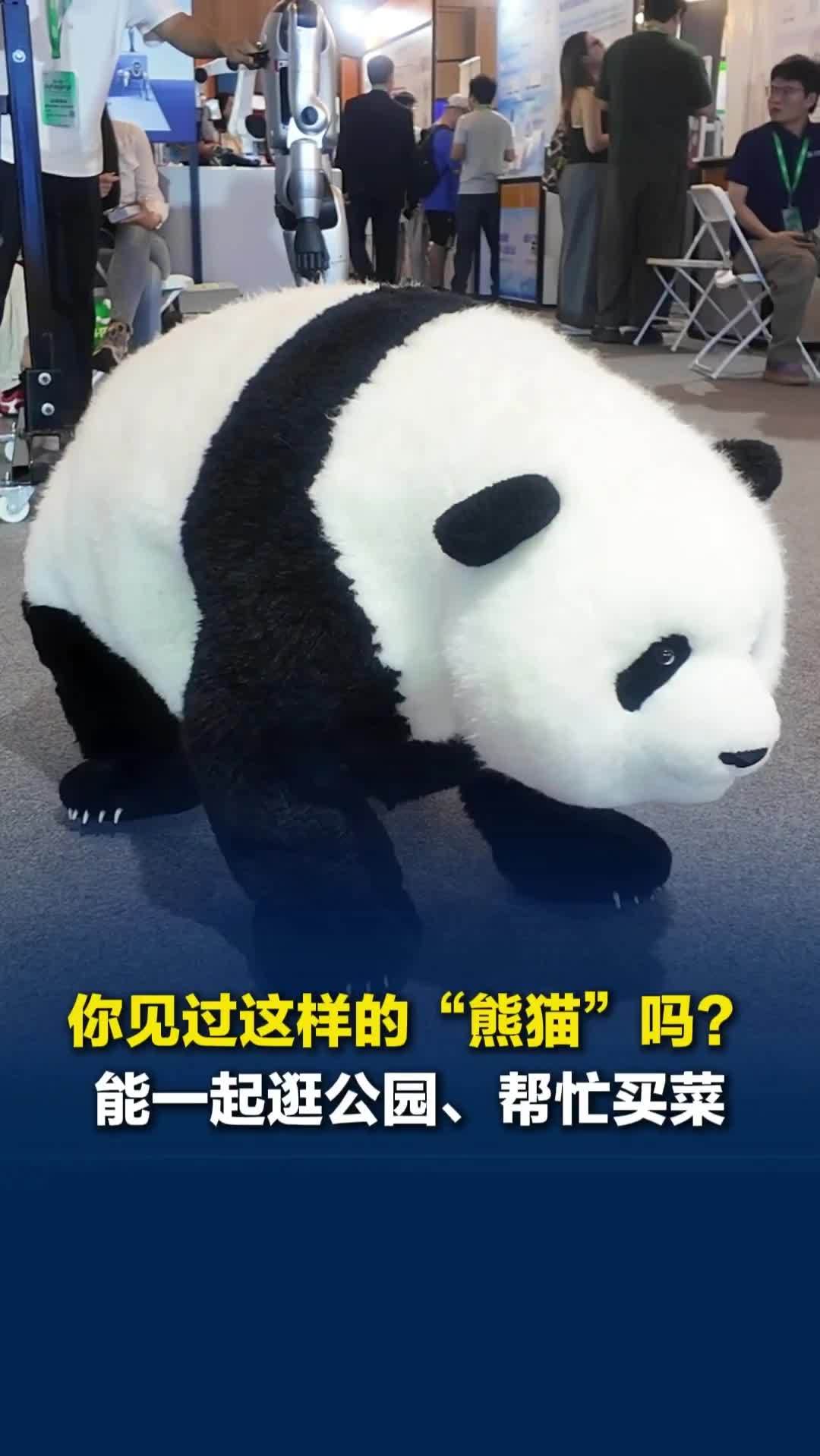 在浦江创新论坛竟然见到一只“熊猫”！小孩围在旁边不肯走，能一起逛公园、帮忙买菜