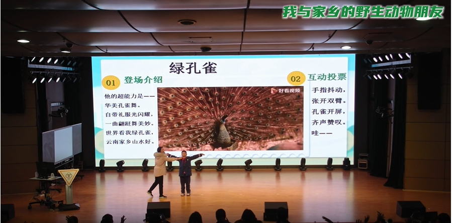 图片4