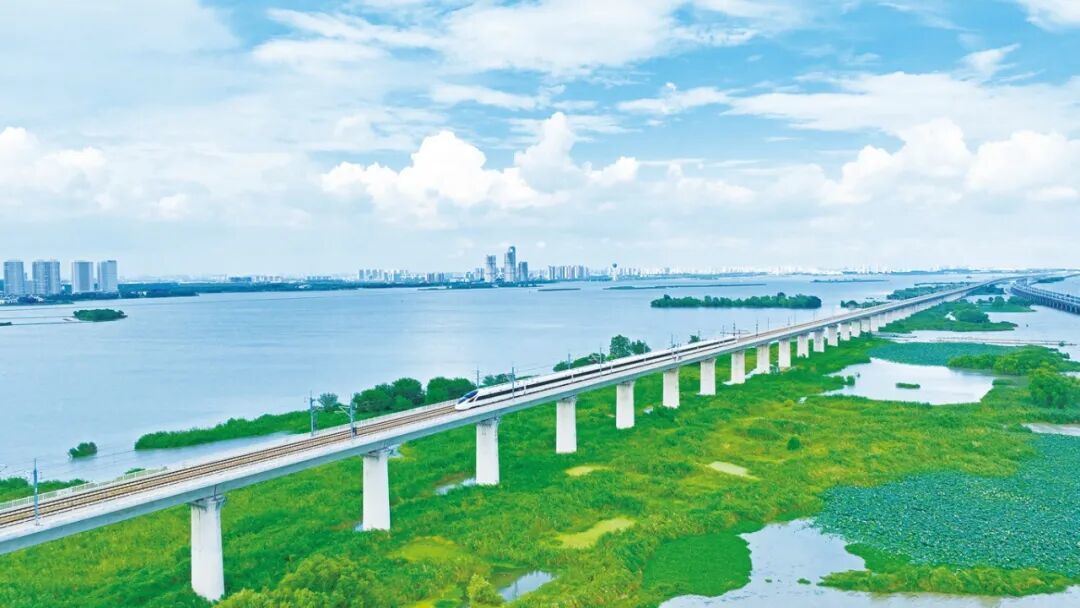 滆湖湿地 高岷摄(7802845)-20260914103741.jpg