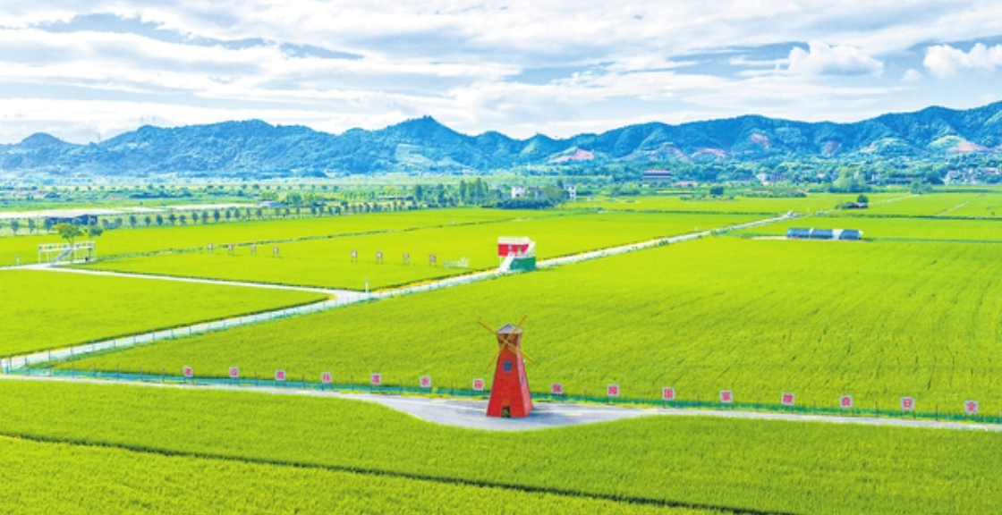 瑞昌市：高标准农田 “丰”景如画（图）