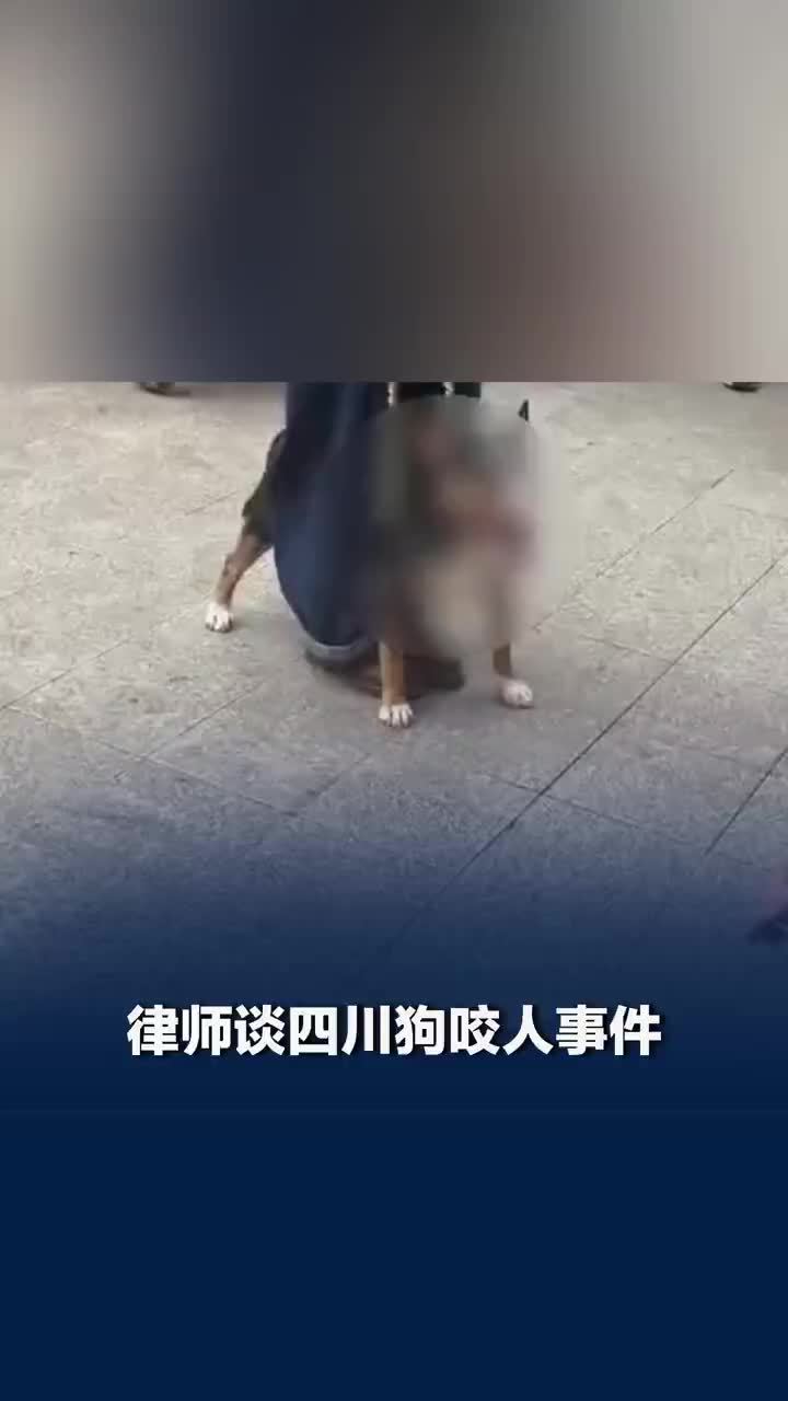 律师谈四川眉山狗咬人事件：携带犬只出户须系犬绳，犬只致人伤害可处拘留