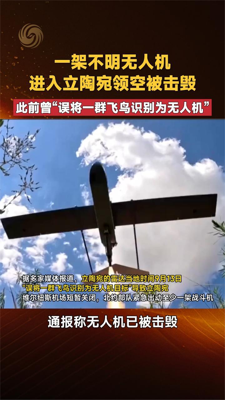 一架不明无人机 进入立陶宛领空被击毁